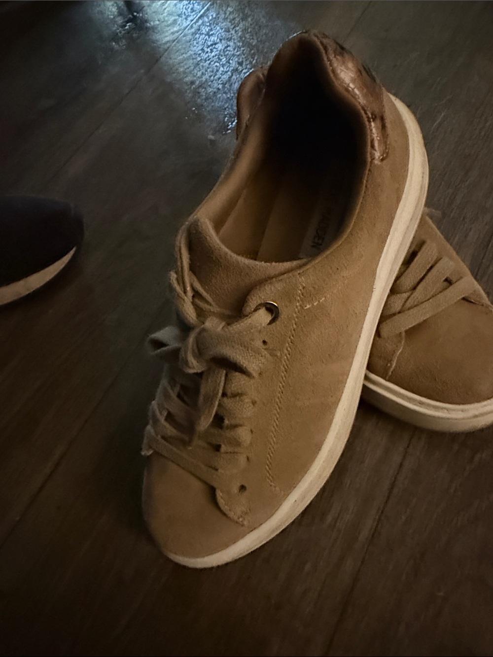 Steve Madden Women's Suede Low-Top Sneakers in Tan